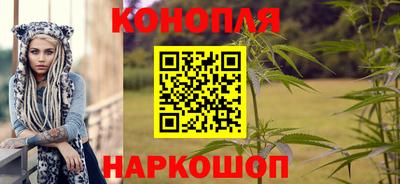 шишки Можайск