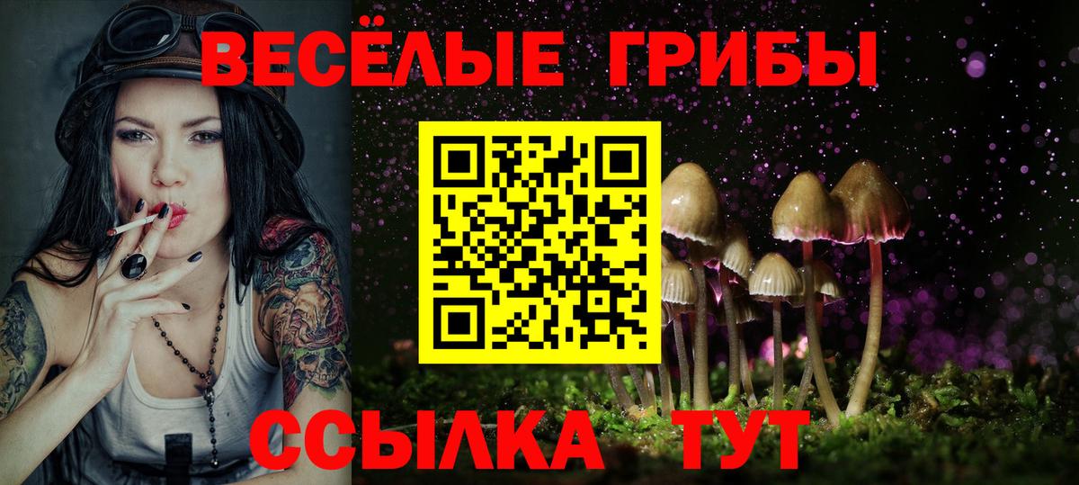 Галлюциногенные грибы прущие грибы  где можно купить   Моршанск  Вход с VPN 