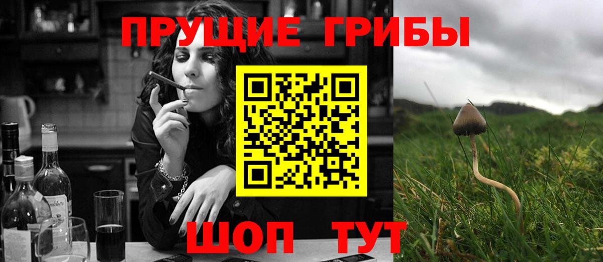Галлюциногенные грибы MAGIC MUSHROOMS Моршанск